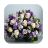 1022 Flowers Live Wallpapers icon