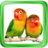Kicau Burung Lovebird APK Download