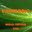 Electronic Radio Stations Free icon