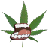 Talking Weed Plant icon