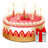 Birthday Reminder Widget icon