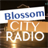 Blossom City Radio icon