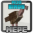 Birds Mod APK Download