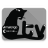 CatTV icon