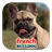 French Bulldog icon