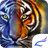 Cool Tiger icon