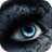 Blue Eyes3D Cube LWP icon