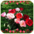 Beautiful Roses Pics icon