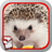 AngryHedgehog icon