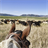 Cattle Drives Wallpaper! icon