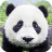 Descargar How to Draw a Happy Panda