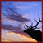 Elk Wallpaper App icon