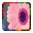 HD Pink Flowers Wallpapers icon