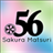 SakuraFest icon