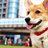 Corgi Puppy Wallpaper! icon