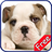 BullDog+ Free icon