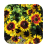 1024 Flowers Live Wallpapers icon
