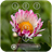 Flower Keypad Lockscreen icon