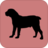 Boerboel icon
