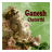 Ganesh Chaturthi Photo And SMS icon