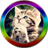 Cat TV icon