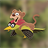 weasel woodpecker APK Download