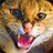 angrycatsounds APK Download