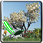 Garden Creator Pro icon