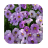 1025 Flowers Live Wallpapers icon