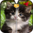 Cute Kitty Zipper Screen Lock 1.0
