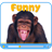 Funny Videos icon