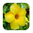 1048 Flowers Live Wallpapers icon