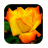 1046 Flowers Live Wallpapers icon