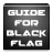 Guide for Black Flag version 1.0