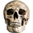 Death Simulator icon