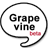 Grapevine icon