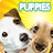 Cute Puppies Wallpaper APK Download