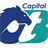 Capital OTB icon