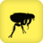 Fleas icon