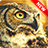 Owl Wallpaper version 1.2