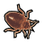 Bed Bug Scanner icon