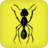 Carpenter Ants icon