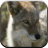 Coyote Sounds for Kids icon
