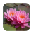 1049 Flowers Live Wallpapers icon