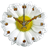 Daisy Flower Clock icon