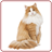 Cat Sounds And Ringtones Free icon