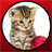 babieslovethecats icon