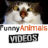 Funny Animal Videos icon