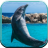 Dolphin Sounds for Kids version 1.0