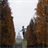 Luxembourg Gardens Wallpaper icon